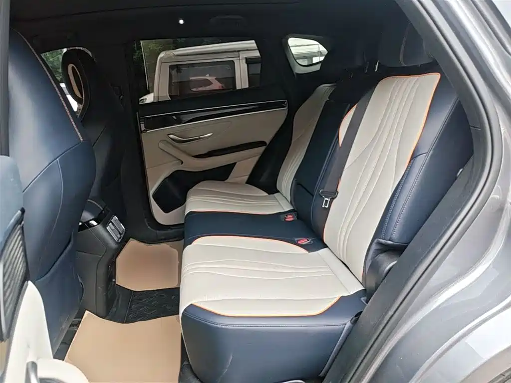 BYD PLUS New Energy 2023 — фото 17