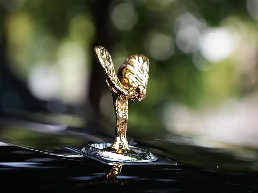 Rolls-Royce Cullinan 2019 — фото 8