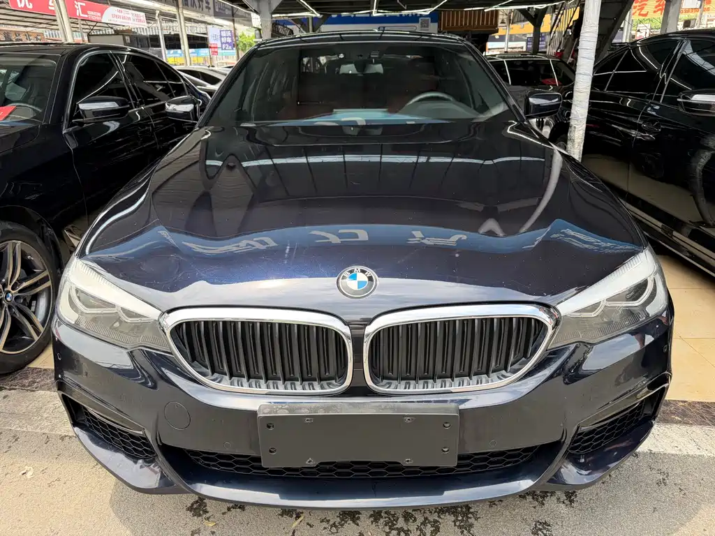 BMW 5 Series 2019