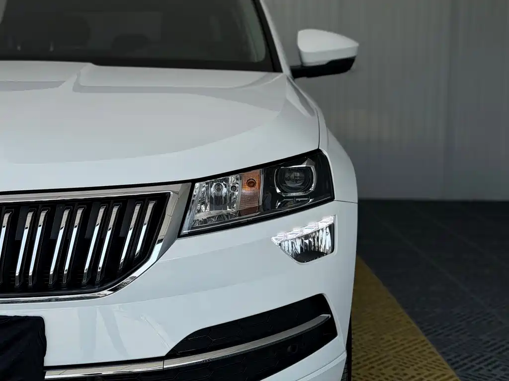 Skoda Karoq 2023 — фото 9