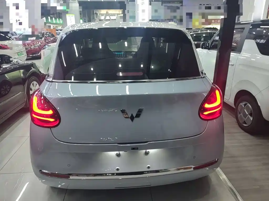 Wuling Bingo 2024