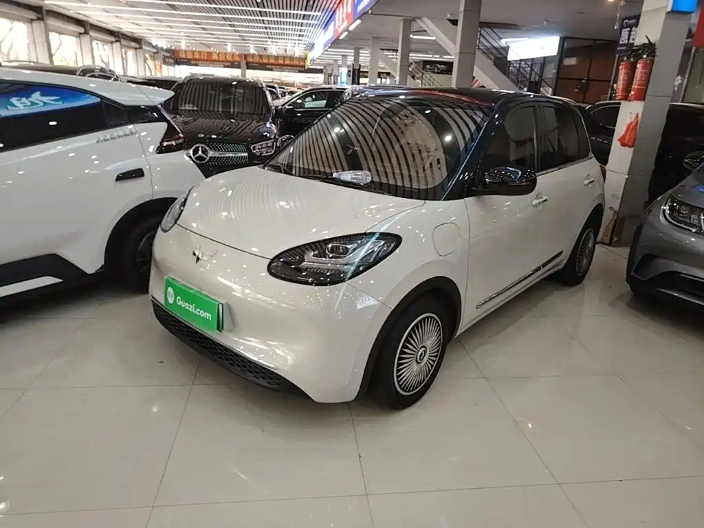 Wuling Bingo 2024