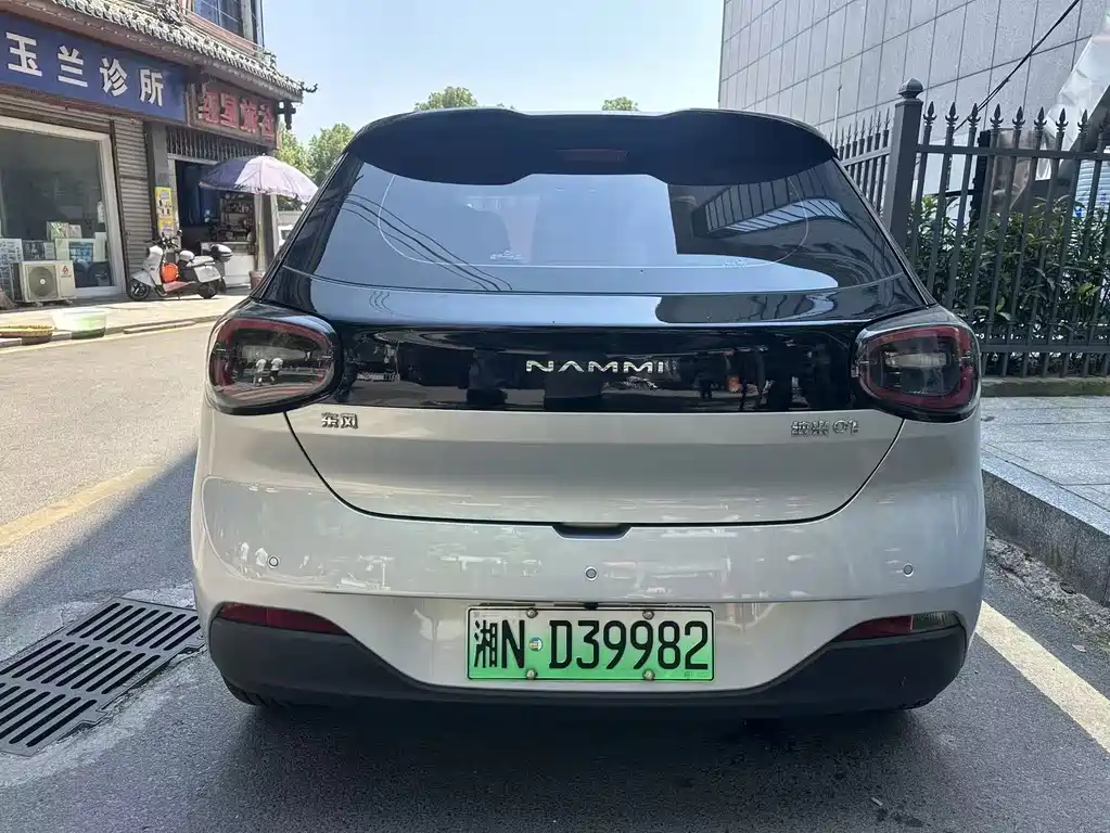Dongfeng Nano 01 2025