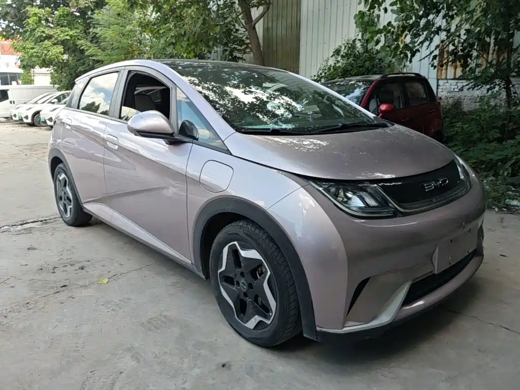 BYD Dolphin 2022