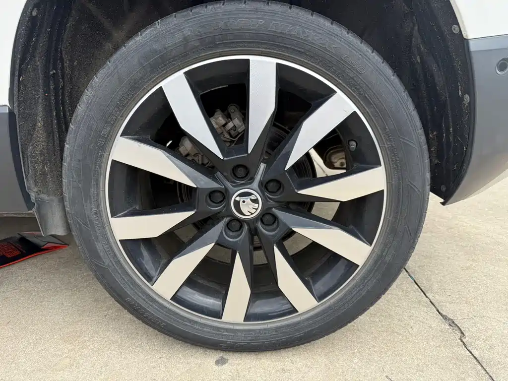Skoda Karoq 2020 — фото 19