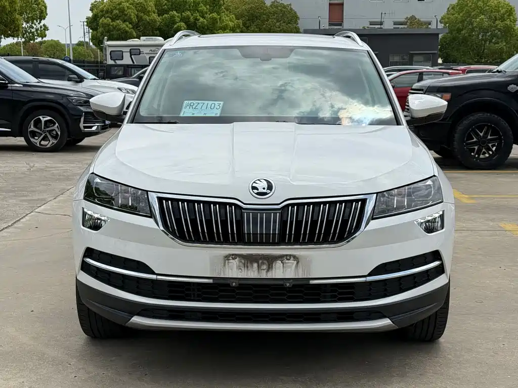 Skoda Karoq 2020 — фото 2