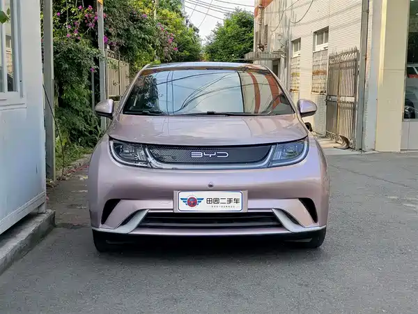 BYD Dolphin 2021
