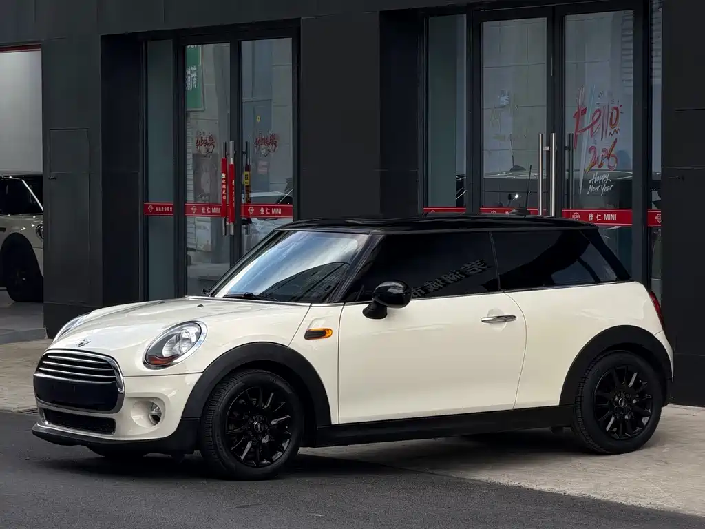 MINI MINI 2015