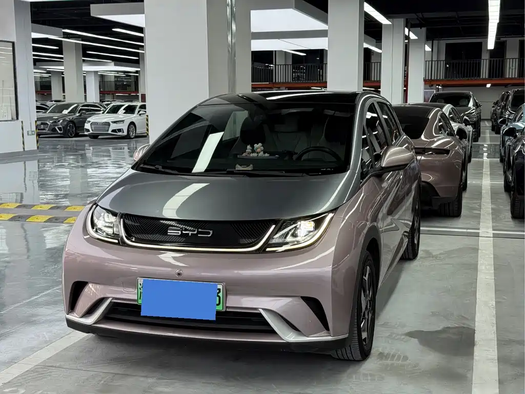 BYD Dolphin 2022