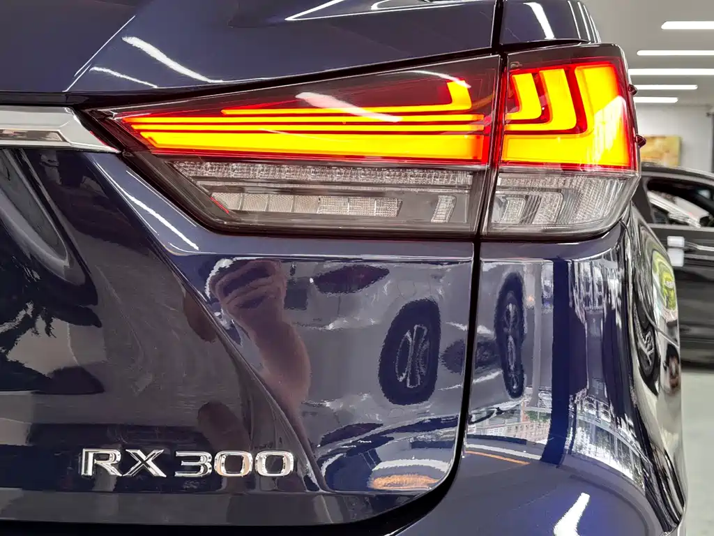Lexus RX 2020 — фото 8