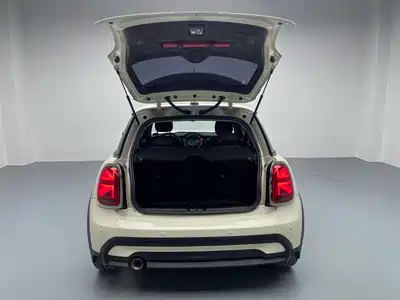 MINI MINI 2022