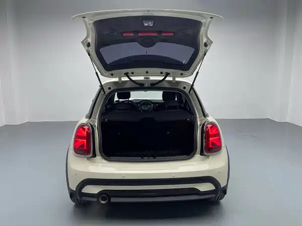 MINI MINI 2022