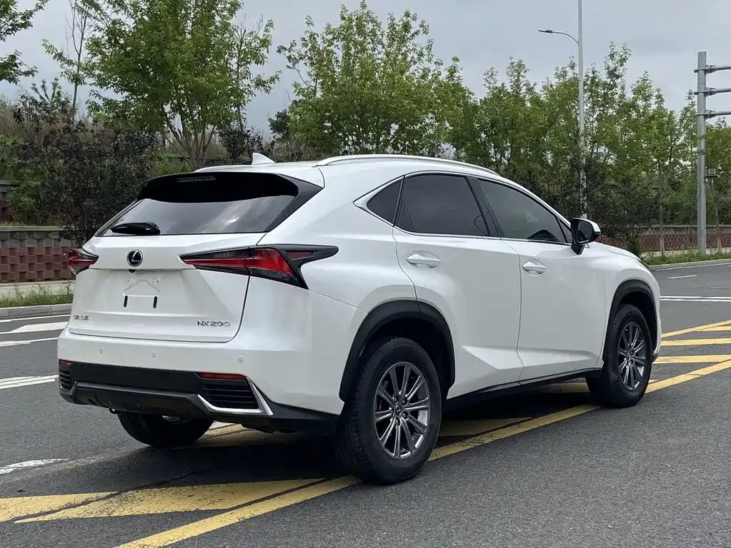 Lexus NX 2020 — фото 14