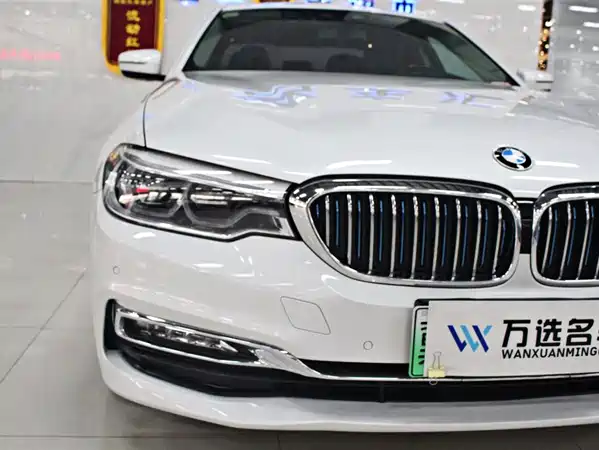 BMW 5 Series New Energy 2019