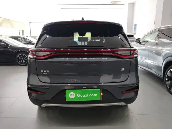 BYD Tang New Energy 2023