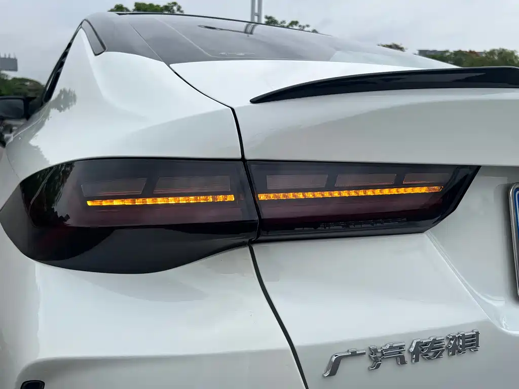 GAC Motor Shadow Leopard 2023 — фото 22