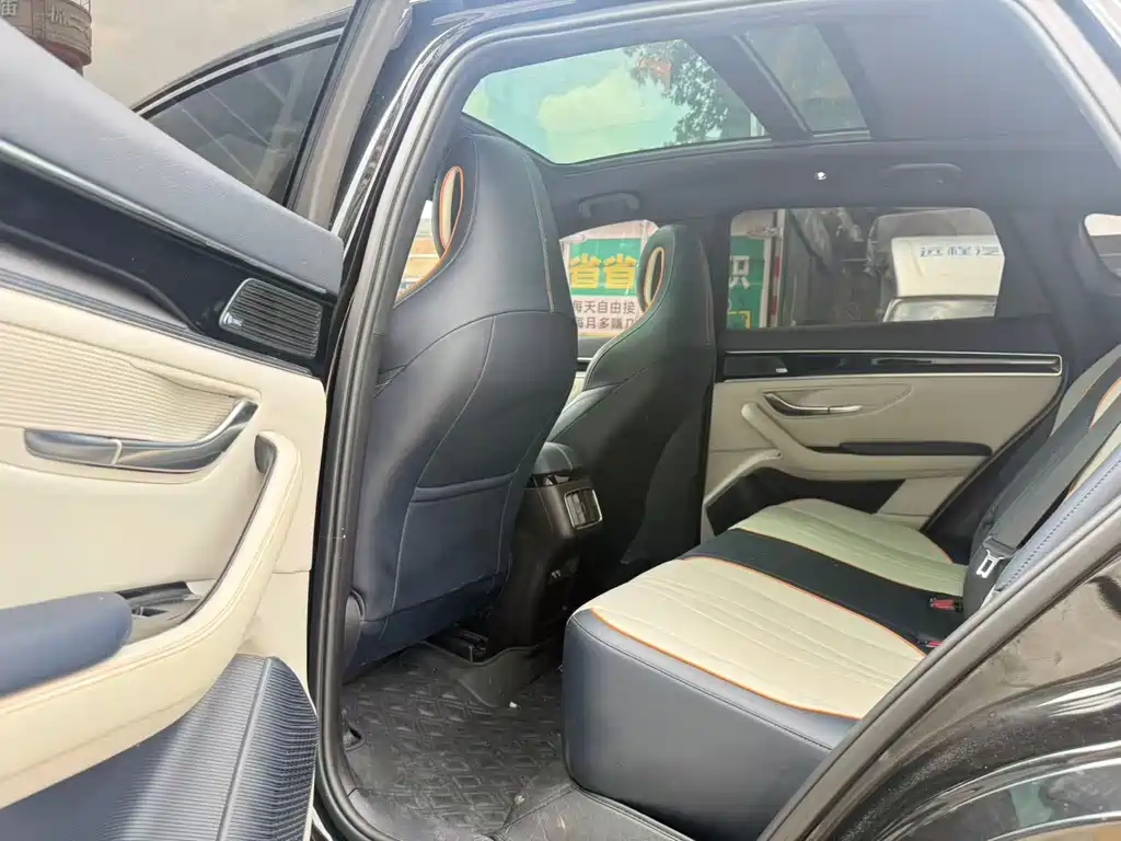 BYD Song PLUS New Energy 2022 — фото 4