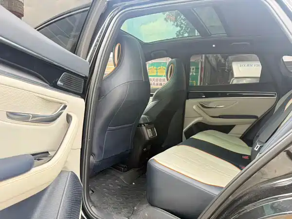 BYD Song PLUS New Energy 2022