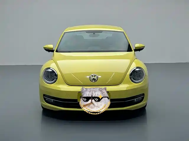 Volkswagen Beetle 2013
