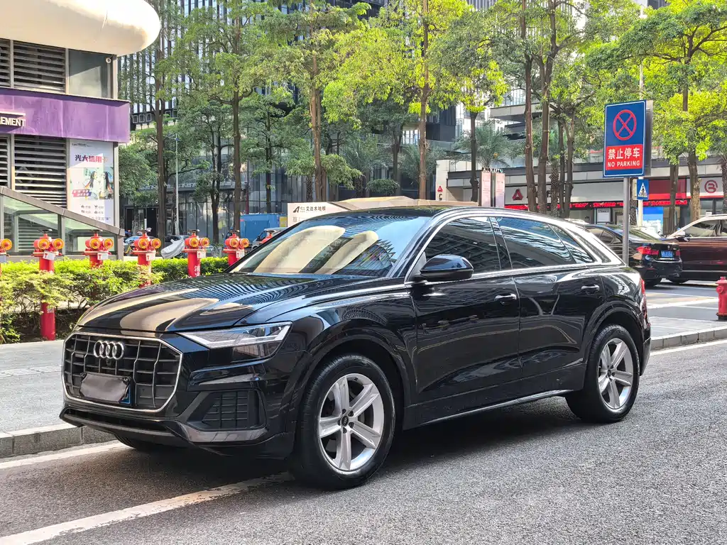 Audi Q8 2021 — фото 1