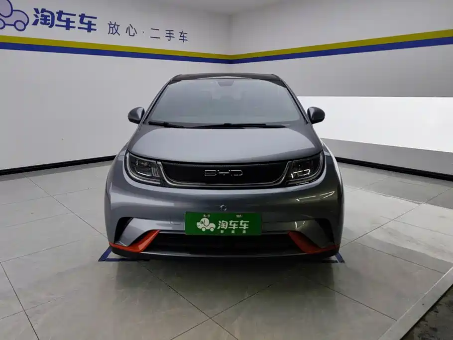 BYD Dolphin 2022
