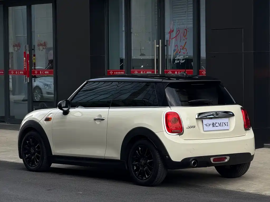 MINI MINI 2015