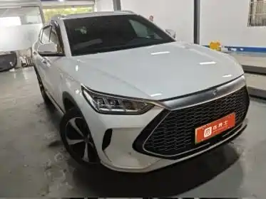 BYD PLUS New Energy 2022 — фото 2