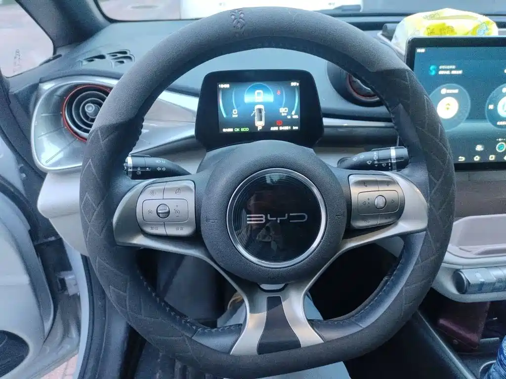 BYD Dolphin 2022