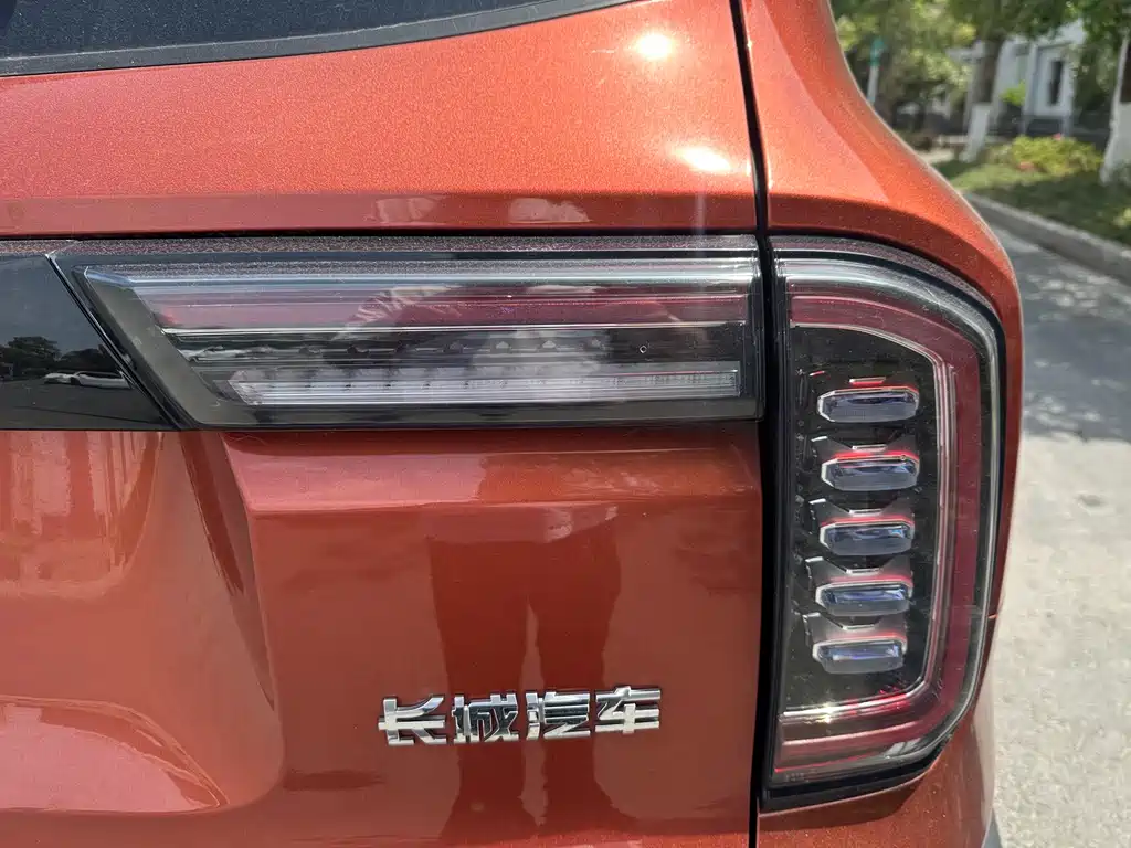 Haval Big Dog 2022 — фото 16