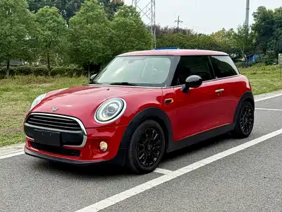 MINI MINI 2019
