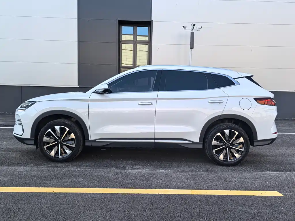 BYD PLUS New Energy 2024 — фото 2
