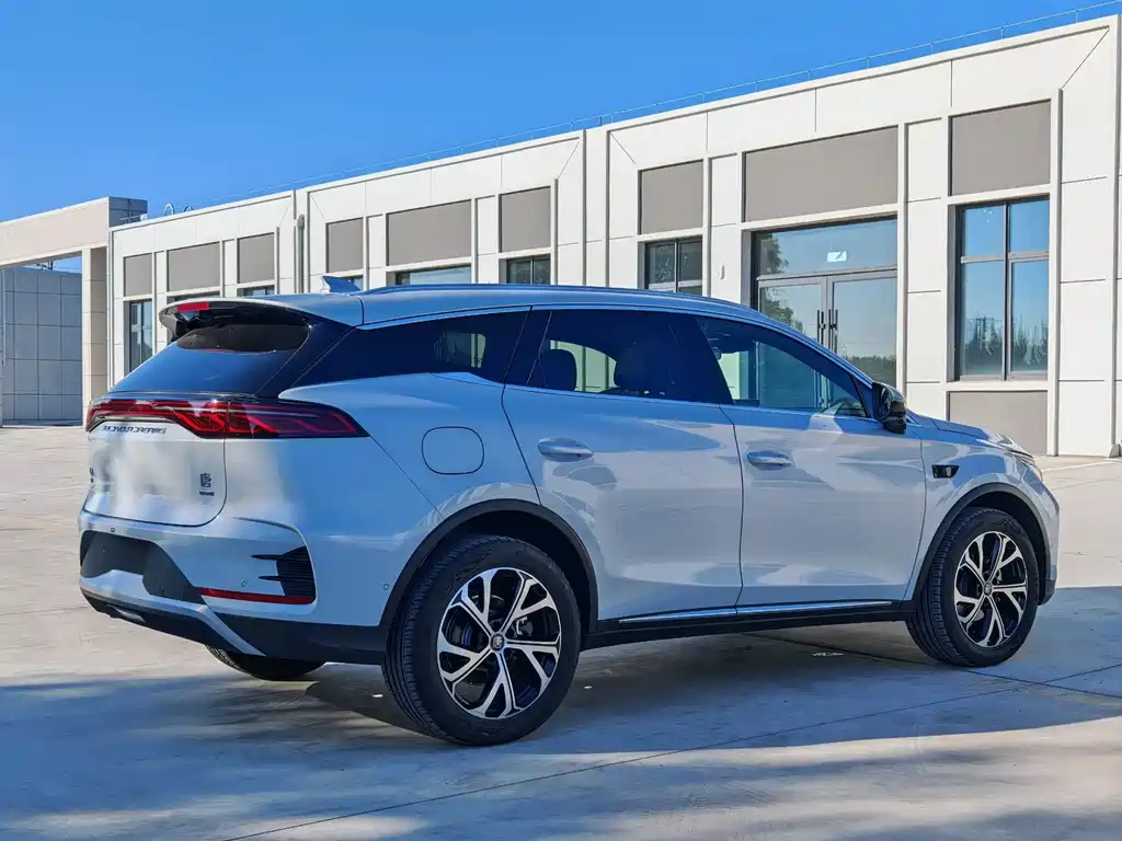 BYD Tang New Energy 2025 — фото 10