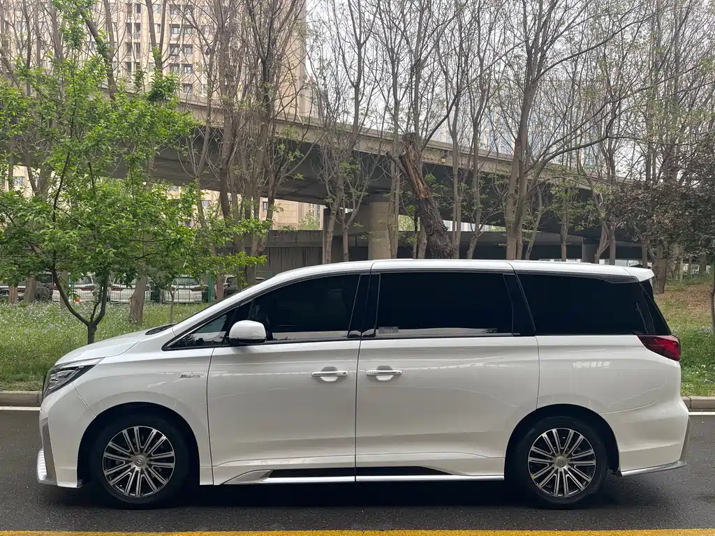 GAC Motor Trumpchi M8 2021 — фото 4