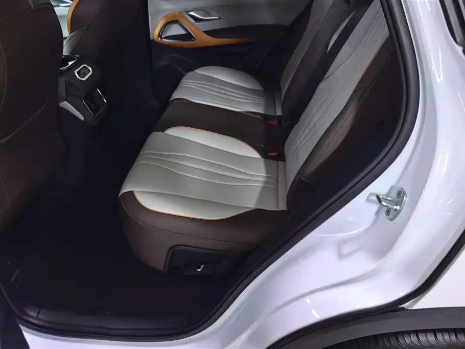 BYD Pro New Energy 2022 — фото 11