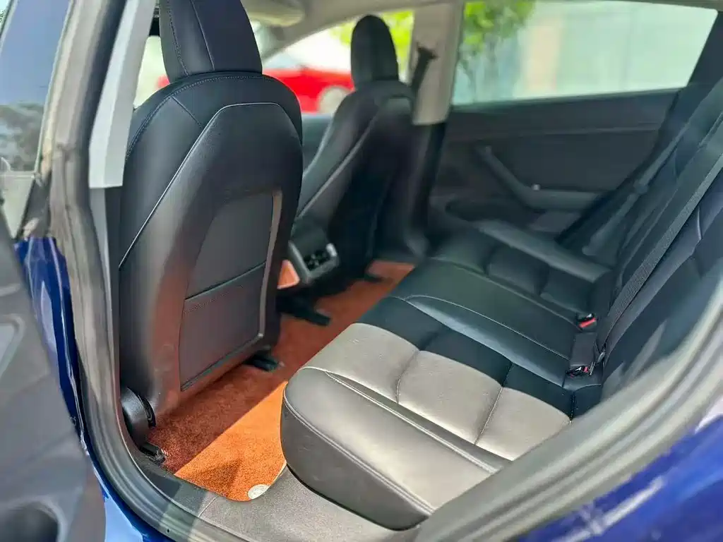 Tesla Model 3 2019