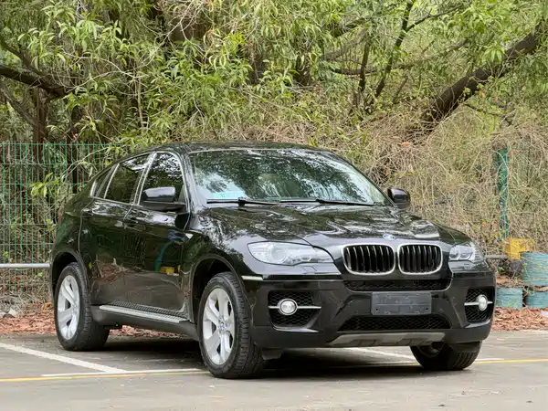 BMW X6 2009