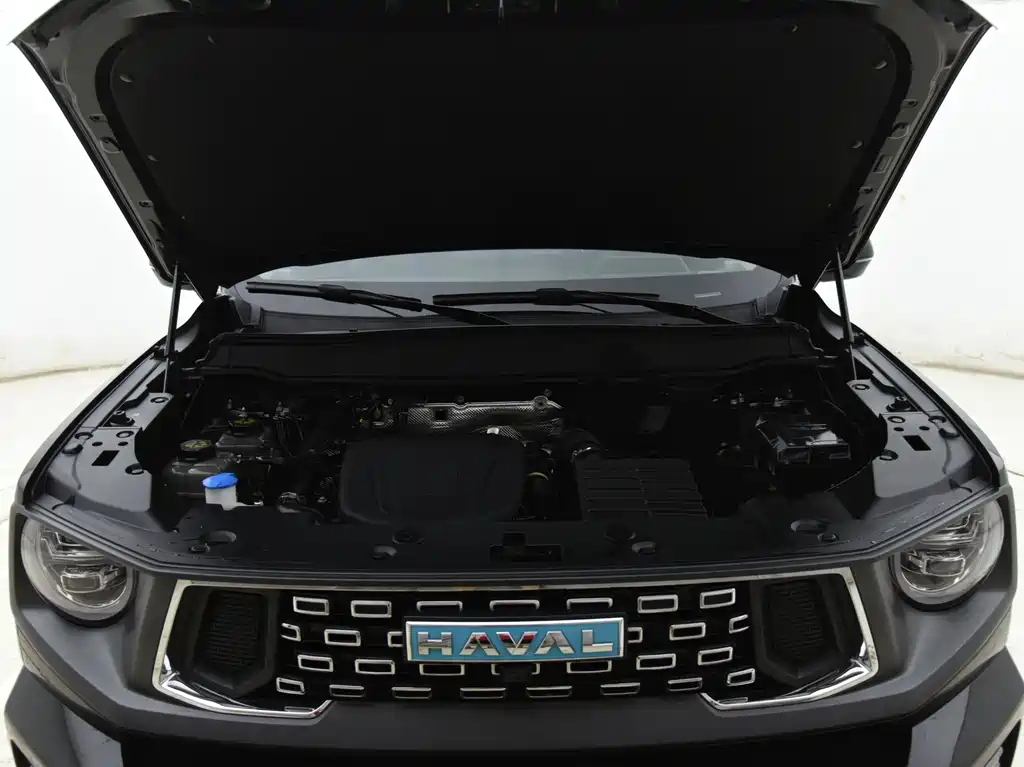 Haval Dargo PLUS EV 2024 — фото 12