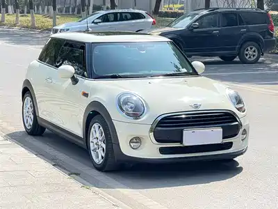 MINI MINI 2018
