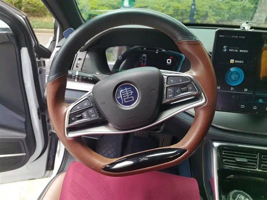 BYD Tang New Energy 2021