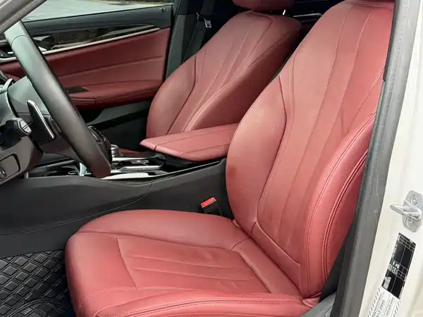 BMW 5 Series 2019