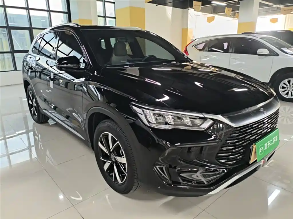 BYD Pro New Energy 2024 — фото 4