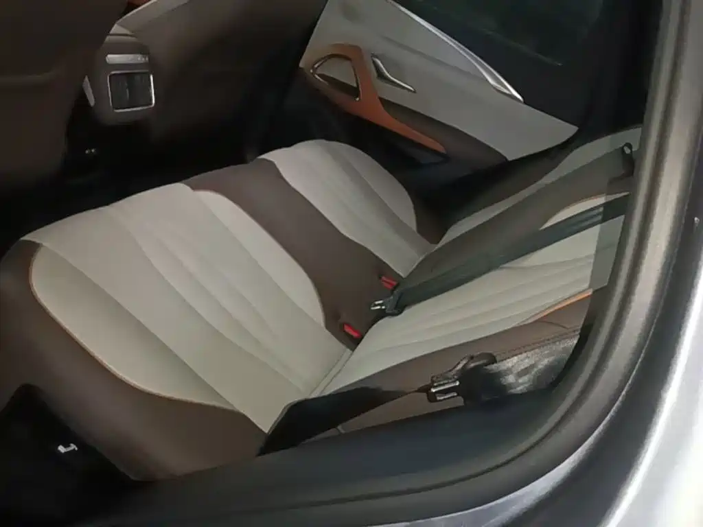BYD Song Pro New Energy 2023 — фото 17
