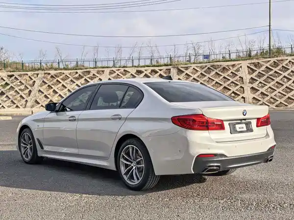 BMW 5 Series 2019