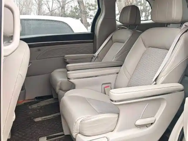 GAC Motor Trumpchi M8 2020 — фото 6