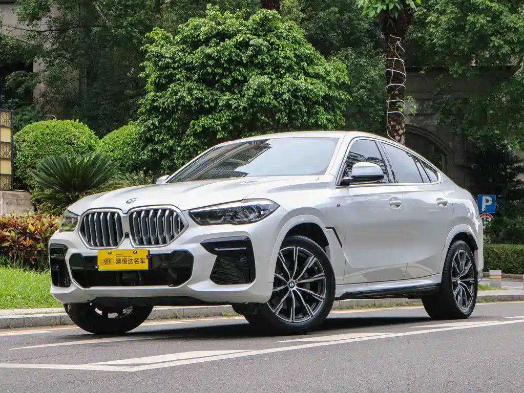 BMW X6 2022