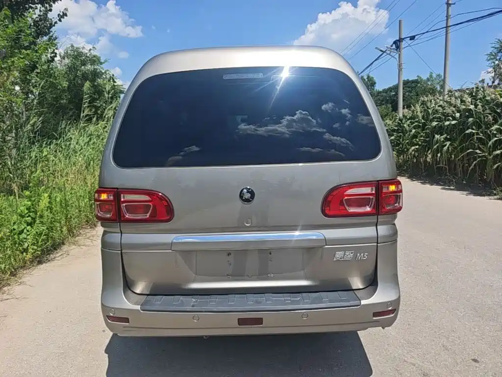 Dongfeng Lingzhi 2024