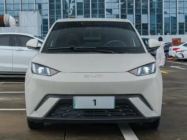 BYD Seagull 2024