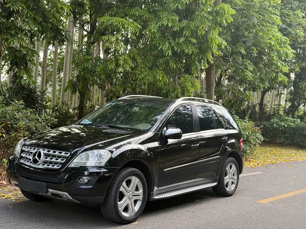 Mercedes-Benz M-Class 2010