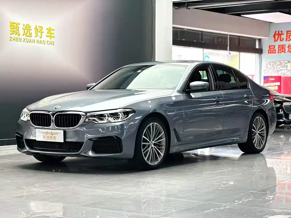 BMW 5 Series 2019
