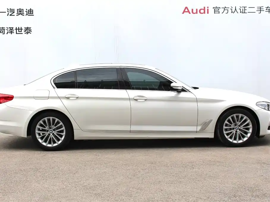 BMW 5 Series New Energy 2020